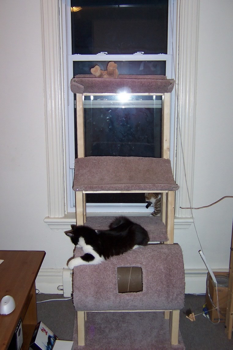 Homemade Cat Tree Plans - Easy DIY Woodworking Projects 