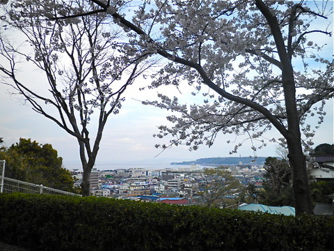 東京湾を望む丘
